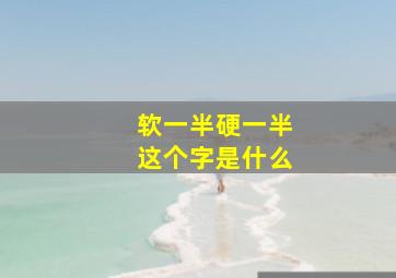 软一半硬一半这个字是什么