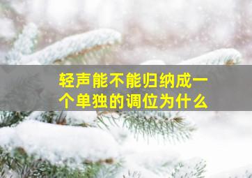 轻声能不能归纳成一个单独的调位为什么