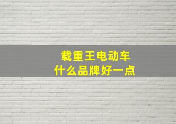 载重王电动车什么品牌好一点