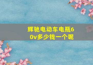 辉驰电动车电瓶60v多少钱一个呢