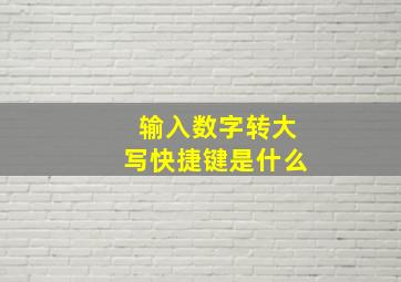 输入数字转大写快捷键是什么