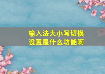 输入法大小写切换设置是什么功能啊