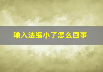 输入法缩小了怎么回事