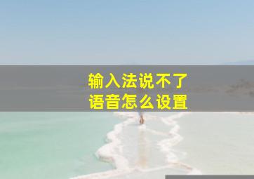 输入法说不了语音怎么设置