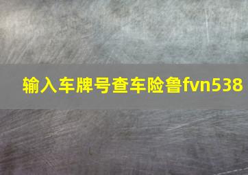 输入车牌号查车险鲁fvn538