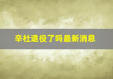 辛杜退役了吗最新消息