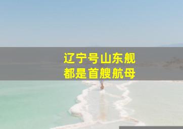 辽宁号山东舰都是首艘航母