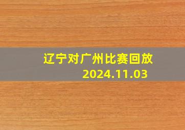 辽宁对广州比赛回放2024.11.03