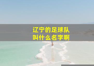 辽宁的足球队叫什么名字啊