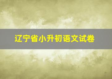 辽宁省小升初语文试卷