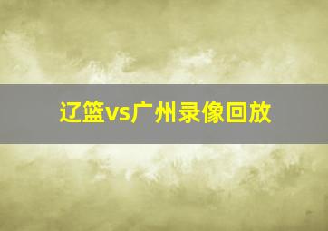 辽篮vs广州录像回放