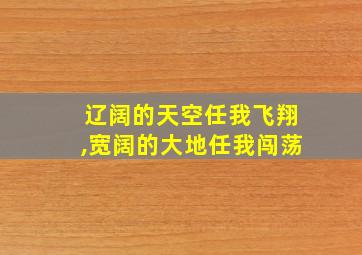 辽阔的天空任我飞翔,宽阔的大地任我闯荡