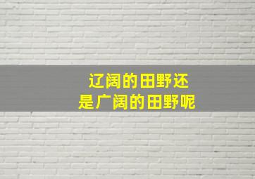 辽阔的田野还是广阔的田野呢