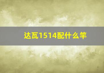 达瓦1514配什么竿