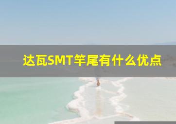 达瓦SMT竿尾有什么优点