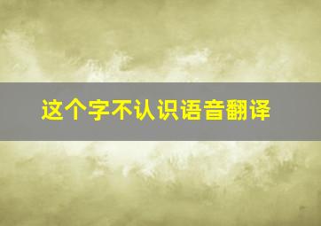 这个字不认识语音翻译