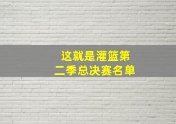 这就是灌篮第二季总决赛名单