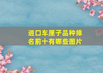 进口车厘子品种排名前十有哪些图片