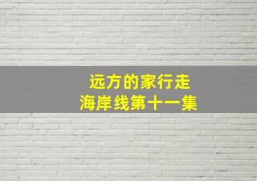 远方的家行走海岸线第十一集