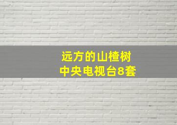 远方的山楂树中央电视台8套