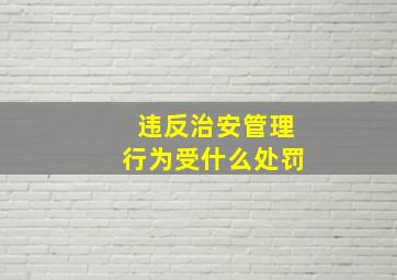 违反治安管理行为受什么处罚