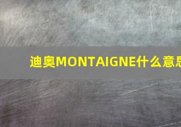 迪奥MONTAIGNE什么意思