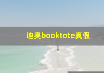 迪奥booktote真假