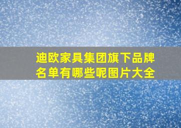 迪欧家具集团旗下品牌名单有哪些呢图片大全