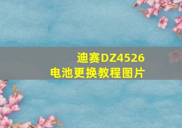 迪赛DZ4526电池更换教程图片