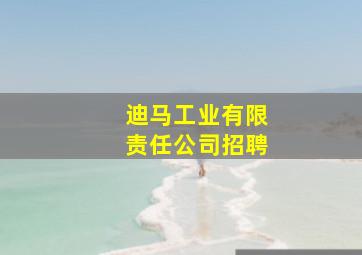 迪马工业有限责任公司招聘