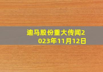 迪马股份重大传闻2023年11月12日