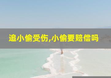 追小偷受伤,小偷要赔偿吗