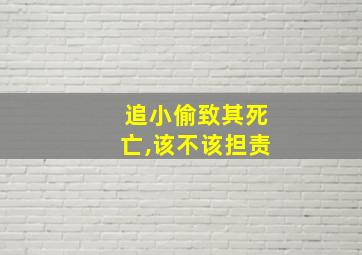 追小偷致其死亡,该不该担责