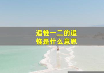 追惟一二的追惟是什么意思