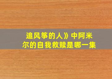 追风筝的人》中阿米尔的自我救赎是哪一集