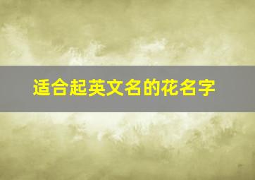 适合起英文名的花名字