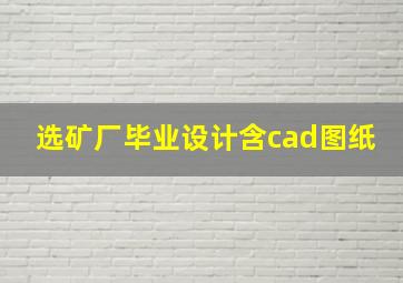 选矿厂毕业设计含cad图纸