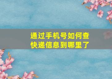 通过手机号如何查快递信息到哪里了