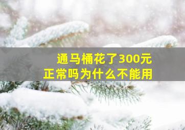 通马桶花了300元正常吗为什么不能用