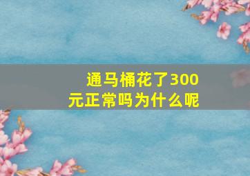 通马桶花了300元正常吗为什么呢