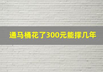 通马桶花了300元能撑几年