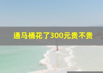 通马桶花了300元贵不贵