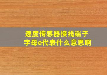 速度传感器接线端子字母e代表什么意思啊