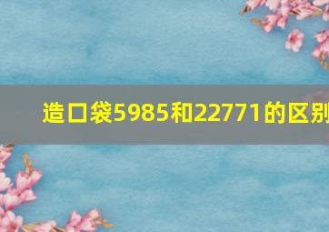 造口袋5985和22771的区别