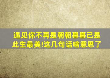 遇见你不再是朝朝暮暮已是此生最美!这几句话啥意思了