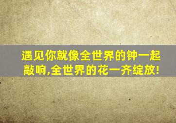 遇见你就像全世界的钟一起敲响,全世界的花一齐绽放!