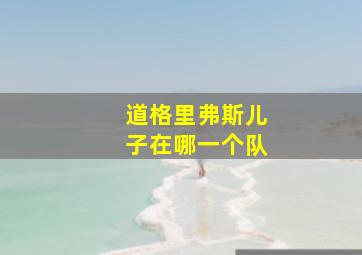 道格里弗斯儿子在哪一个队