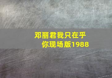 邓丽君我只在乎你现场版1988