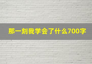 那一刻我学会了什么700字