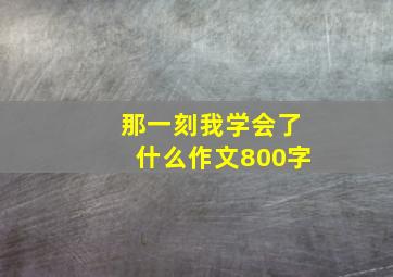 那一刻我学会了什么作文800字